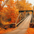 The Ultimate Guide to Outdoor Celebrations in Central Kentucky