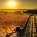 Exploring the Rich Agricultural Heritage of Central Kentucky