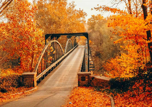 The Ultimate Guide to Outdoor Celebrations in Central Kentucky